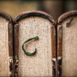 annagorvits-1319410385