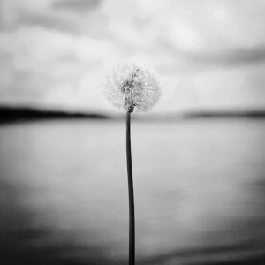 annagorvits-1321870878