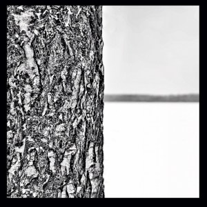 annagorvits-1330084447