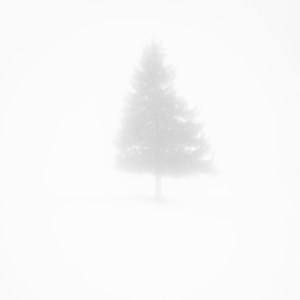 annagorvits-1388868482