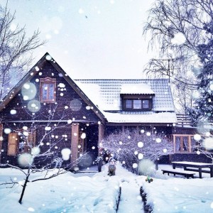 annagorvits-1357236396