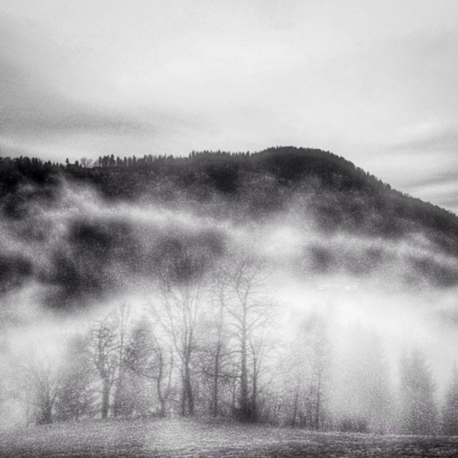 annagorvits-1389306694