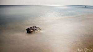 11677_10152717598731631_9169744017739596447_n