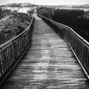 Processed with VSCOcam with b5 preset