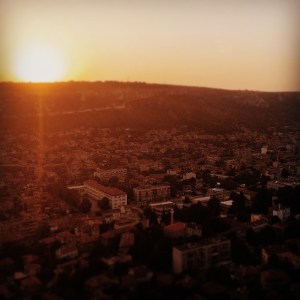 779130708699179441_1443416849