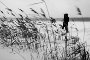 Снимок экрана 2015-03-27 в 15.50.51